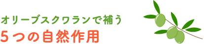 オリーブスクワランで補う自然作用