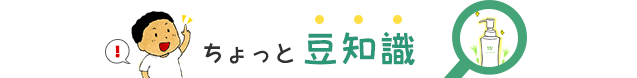 ちょっと豆知識