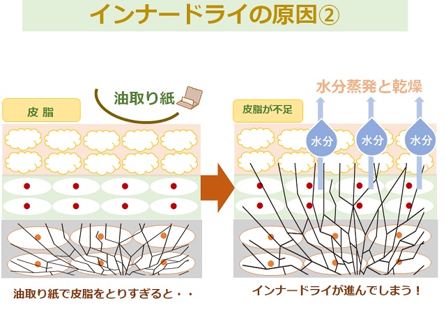 油取り紙