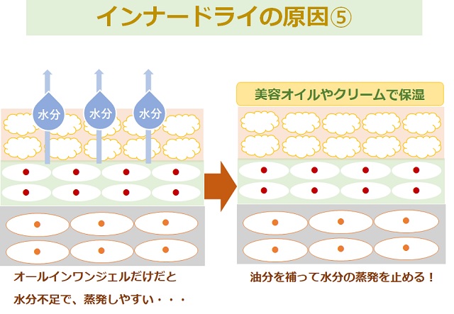 作図　オールインワン