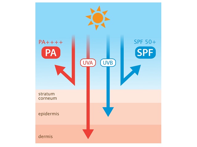 SPFとPAの効果