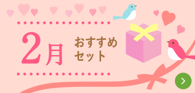 ２月おすすめセット