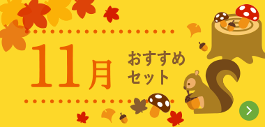 １１月おすすめセット